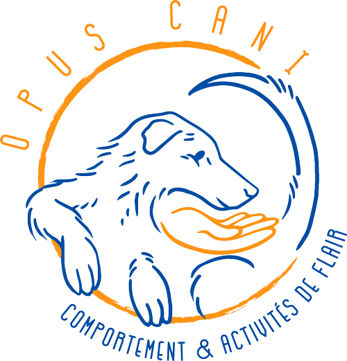 Accueil